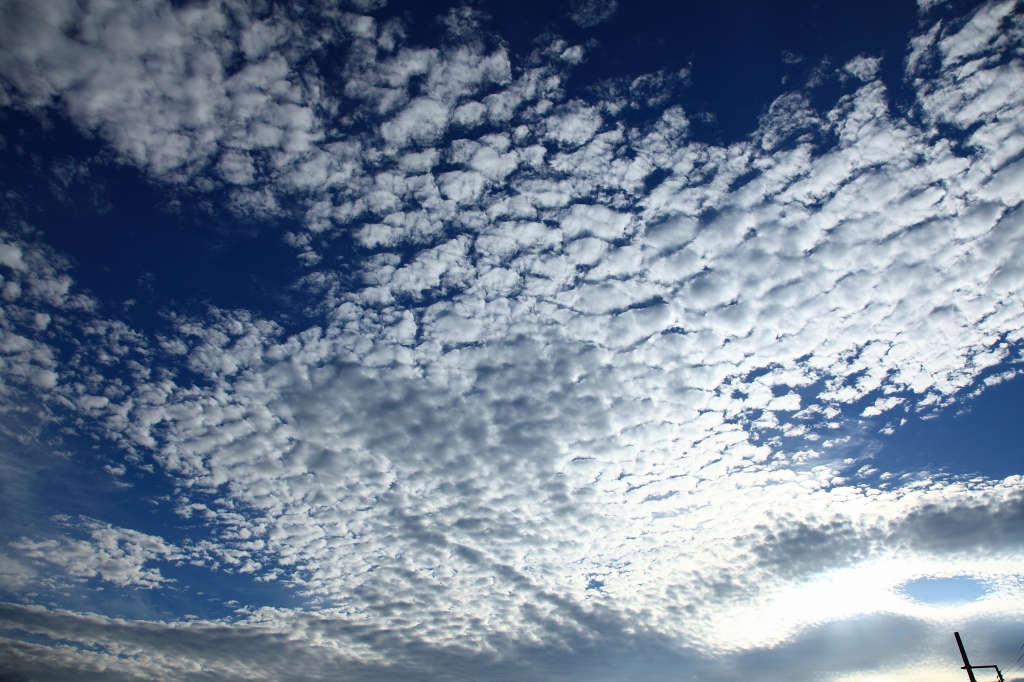 b0050305_8252543.jpg