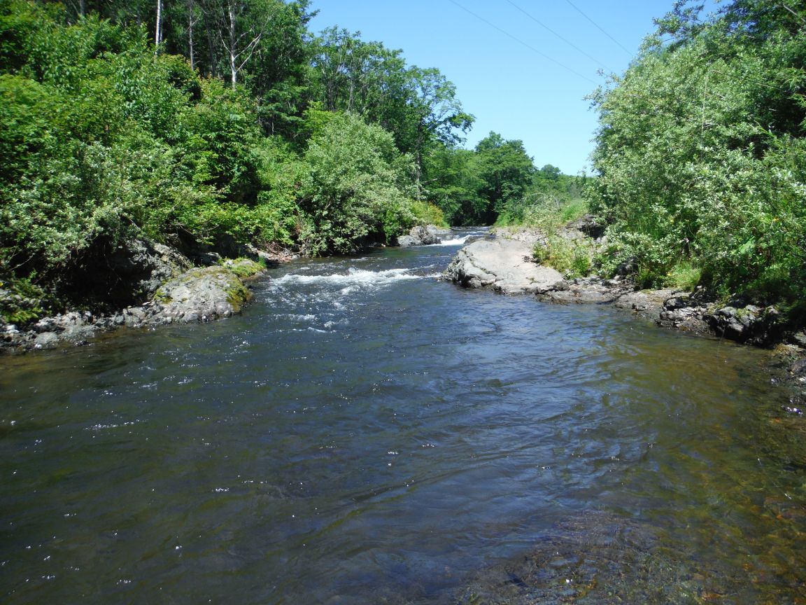 b0172805_0223448.jpg