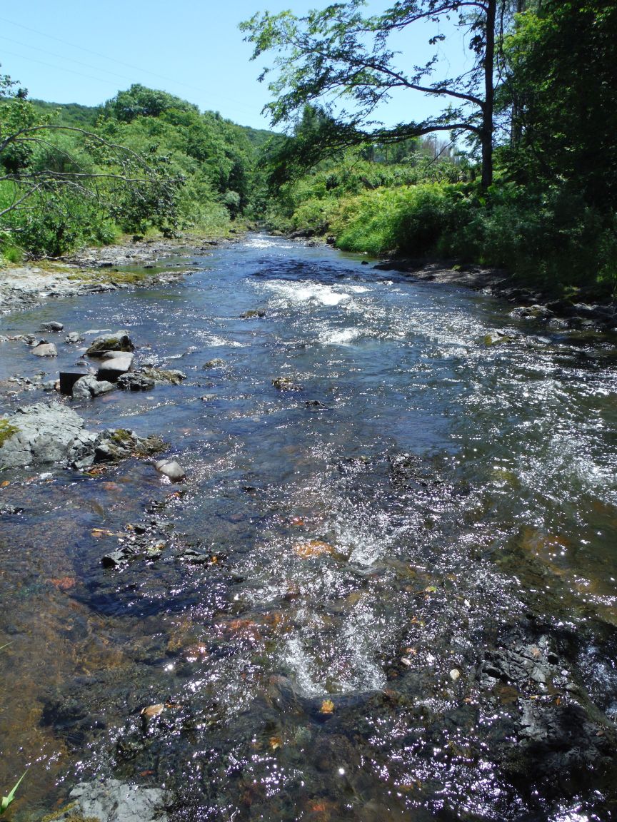 b0172805_0582498.jpg
