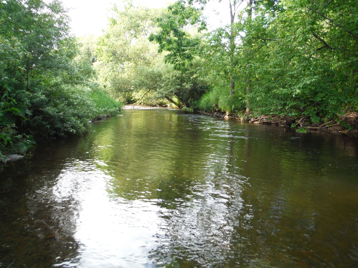 b0172805_161618.jpg