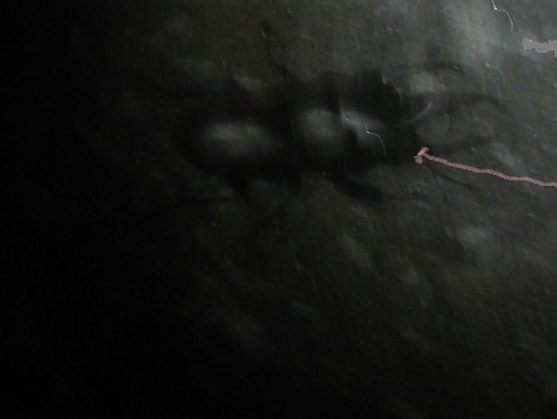 f0325309_10223403.jpg