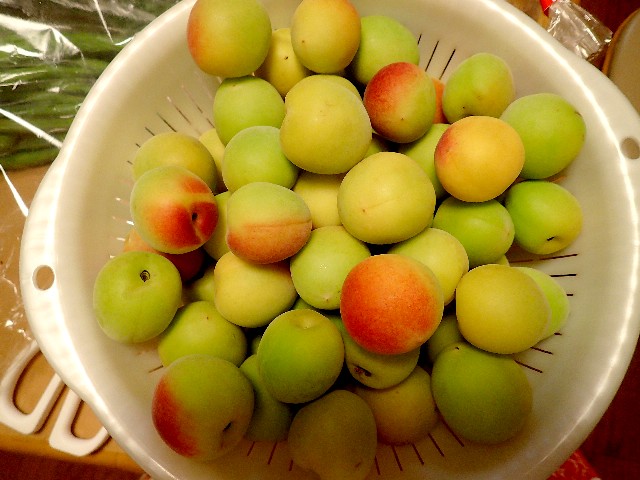 f0043911_1253546.jpg