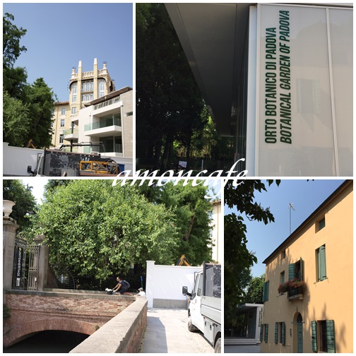Italy日記 1_f0192411_034332.jpg