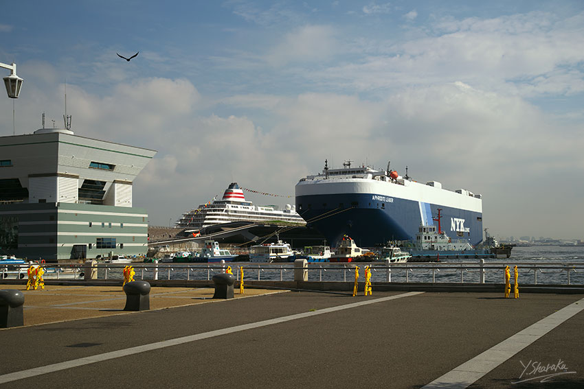 f0344614_12401094.jpg