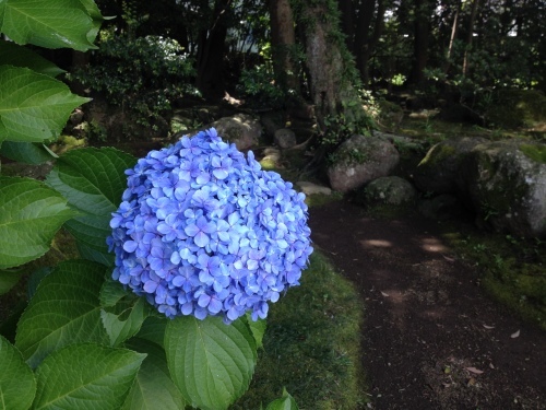 晴れた日は、外へお出掛け♪_f0354014_19175809.jpg