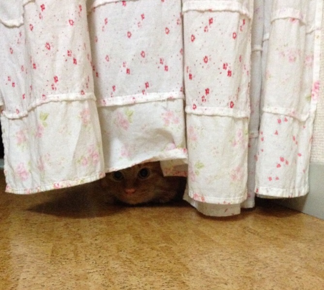 晴れた日は、外へお出掛け♪_f0354014_22105254.jpg