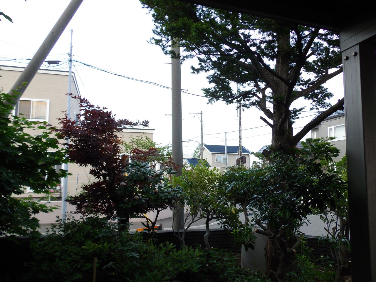 明るくなった庭_c0025115_21193470.jpg