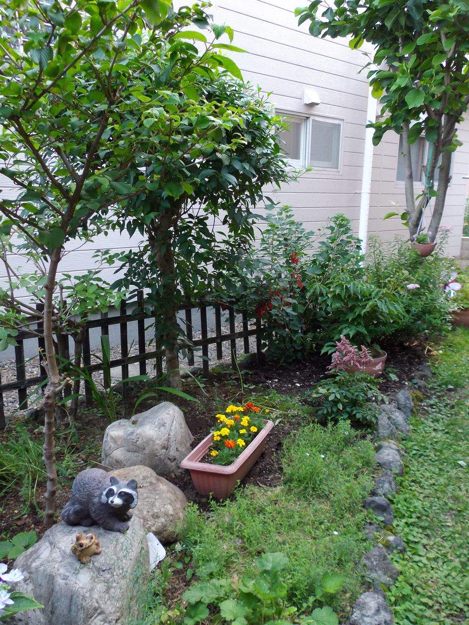 明るくなった庭_c0025115_2124222.jpg