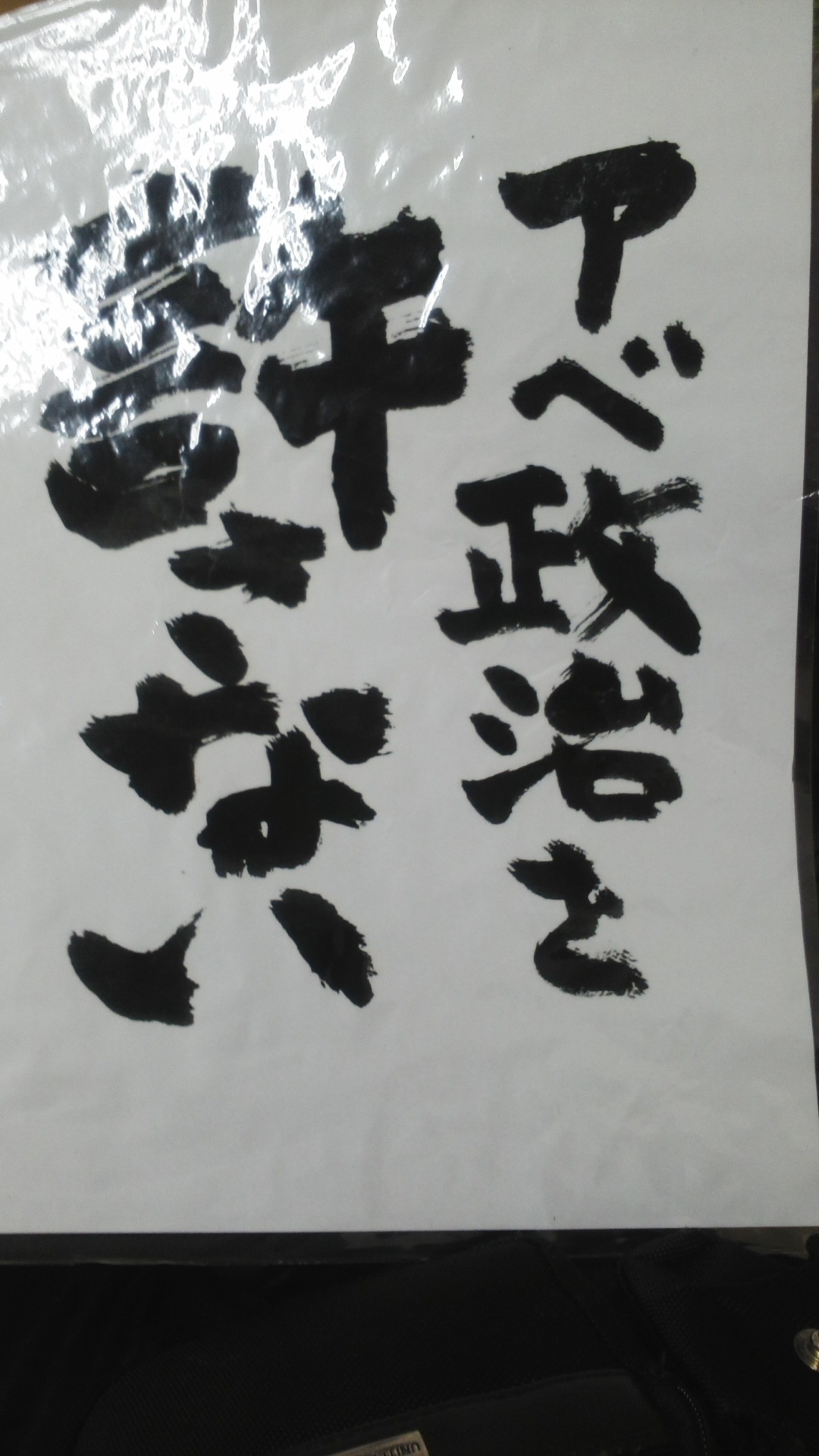 役人からヘルパーへ。138日目の出勤です。一人のヘルパーとして、アベ政治を許さない。そして脱自民党政治。_e0094315_09395214.jpg