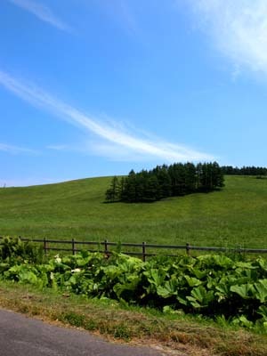 北海道歩き（中標津②）_a0258516_20321984.jpg