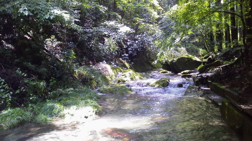 e0348420_19482058.jpg