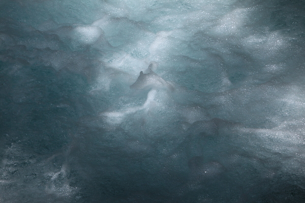 e0242721_92725.jpg