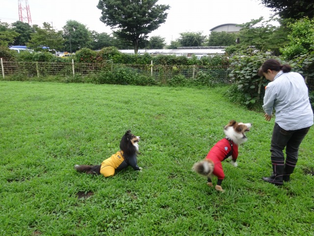 雨大好き!・・・既に梅雨が恋しい我が家_e0195743_12541877.jpg