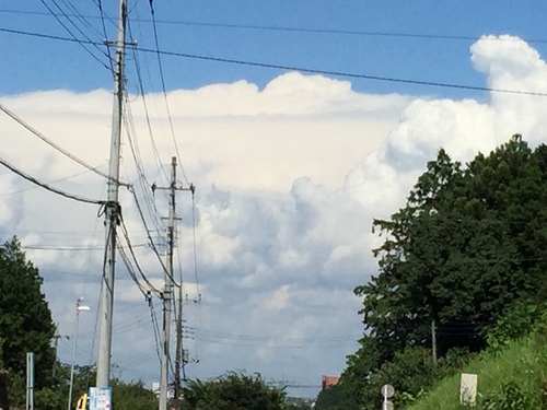 夏がキター!!_c0331145_2155697.jpg