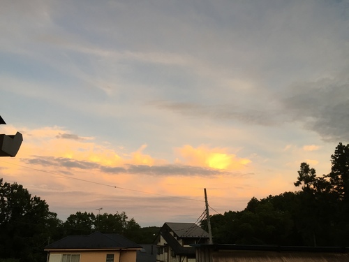夏がキター!!_c0331145_21565748.jpg