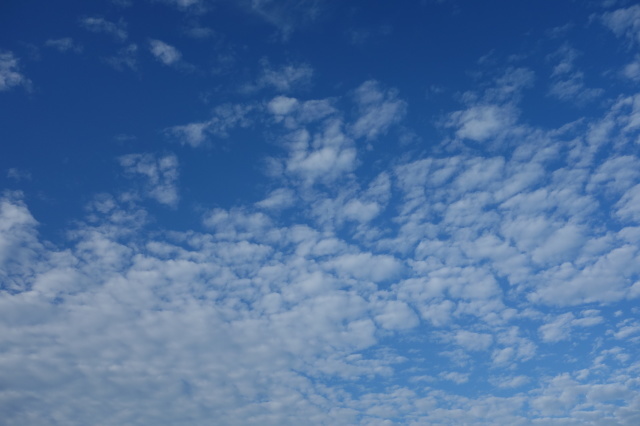 d0101846_07053650.jpg