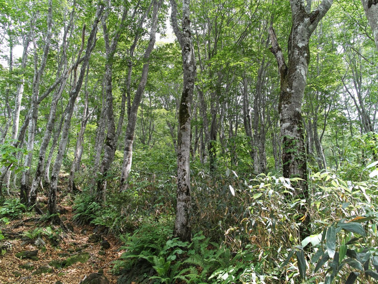 c0008948_21254119.jpg