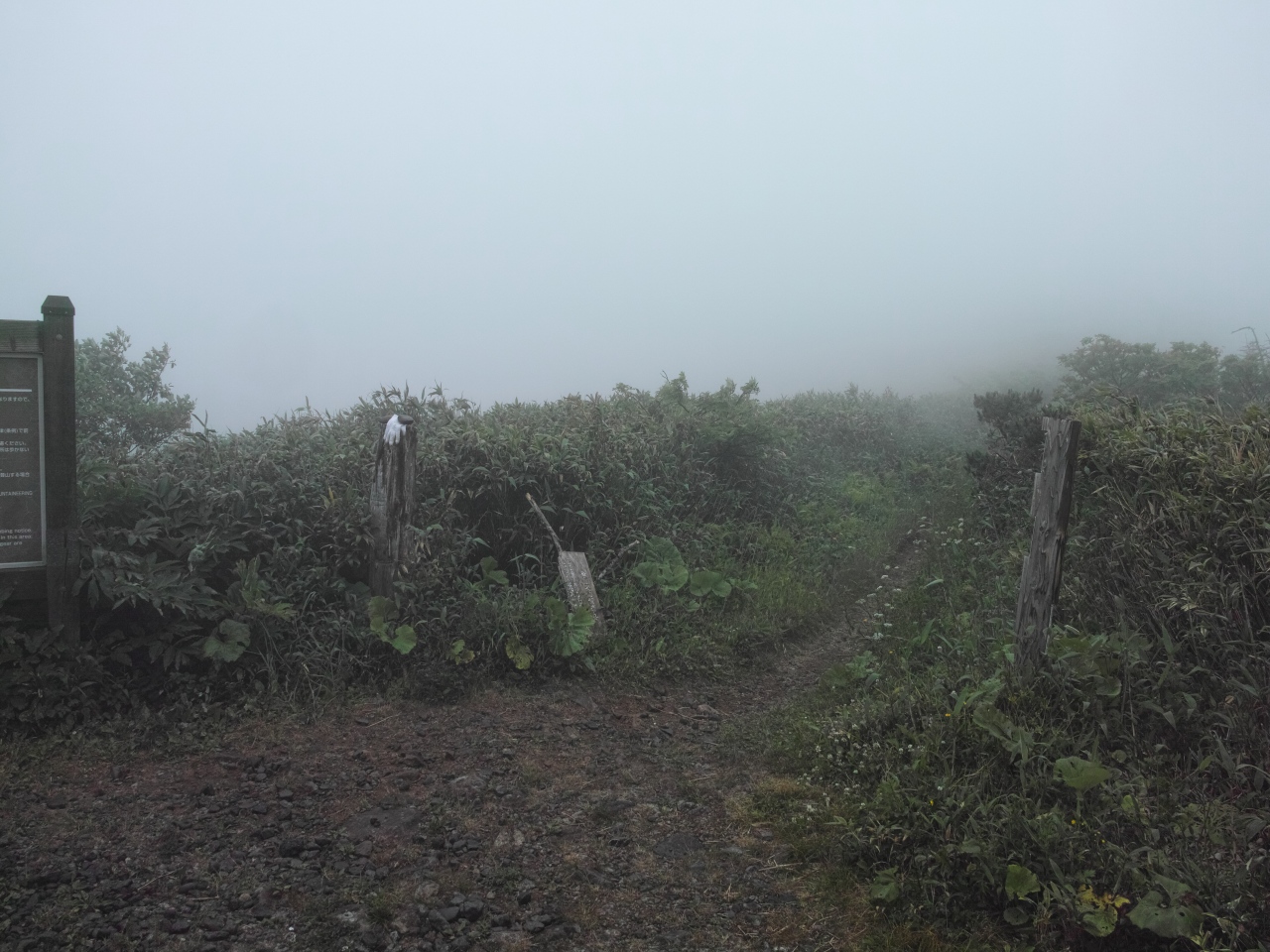 c0008948_21322378.jpg