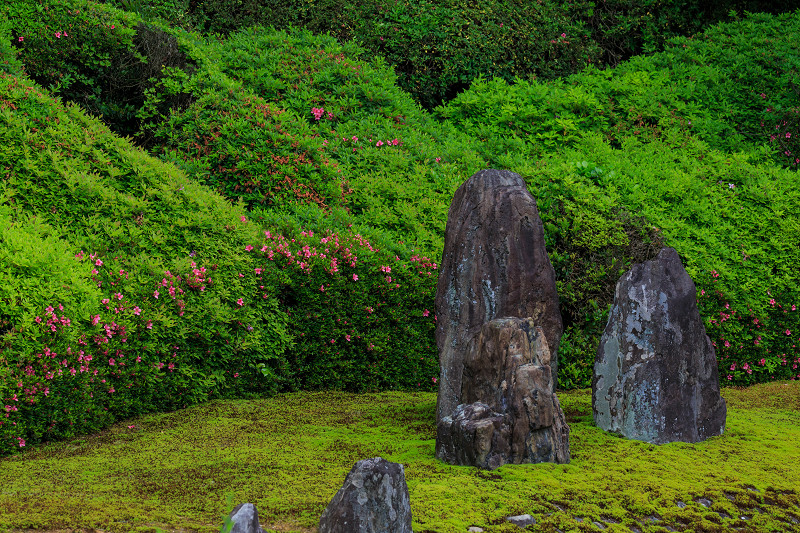 光明院・サツキの頃（東福寺塔頭）_f0155048_034683.jpg