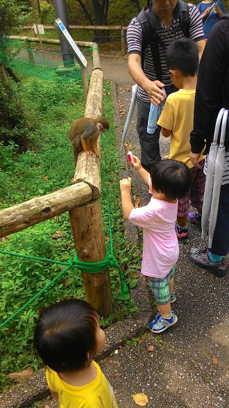 巻いて巻かれて　　（大牟田市動物園へ）_f0201157_23093691.jpg