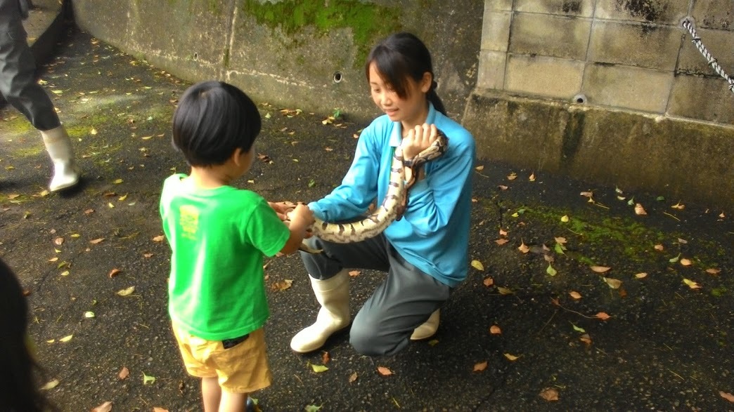 巻いて巻かれて　　（大牟田市動物園へ）_f0201157_23110506.jpg