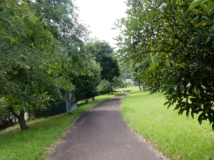 ’15,7,20(月)今日から”夏休み”!_f0060461_13332521.jpg