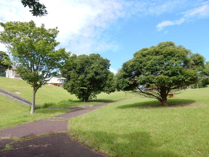’15,7,20(月)今日から”夏休み”!_f0060461_13375315.jpg