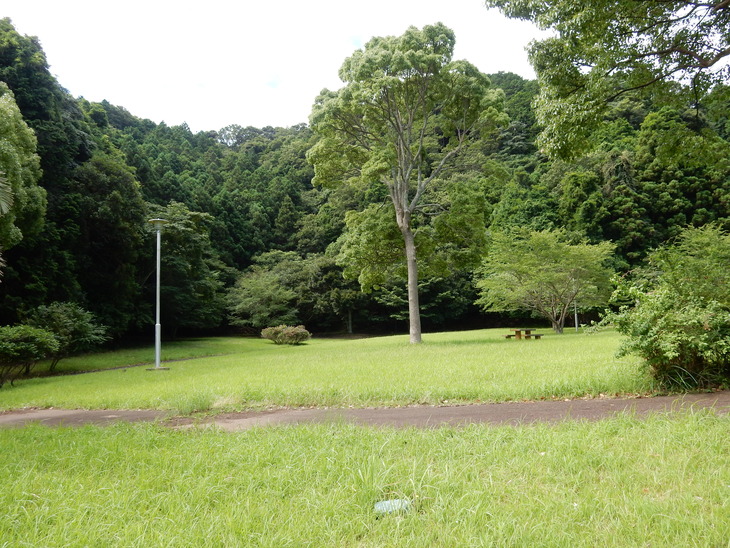 ’15,7,20(月)今日から”夏休み”!_f0060461_1337558.jpg