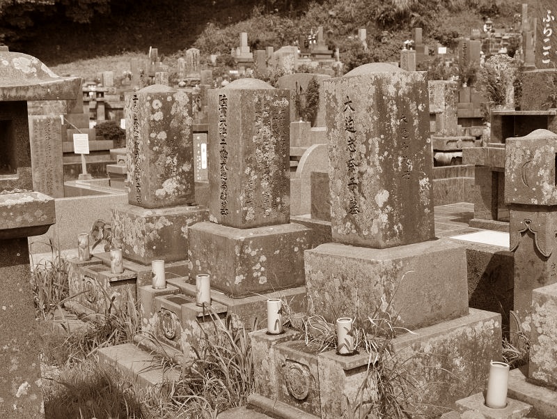 d0098363_5593793.jpg