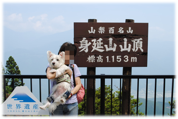 b0242873_23532531.png