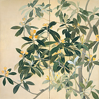 生誕110年片岡球子展  Kataoka Tamako: The 110th Anniversary of Her Birth_b0245877_1432354.jpg