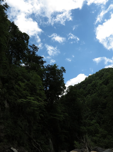 c0197578_2214560.jpg