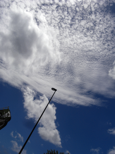 c0095679_20551996.gif