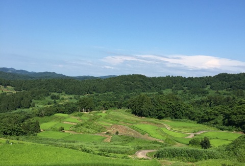 大月の棚田「今年の文字」は?_d0182179_17304812.jpg