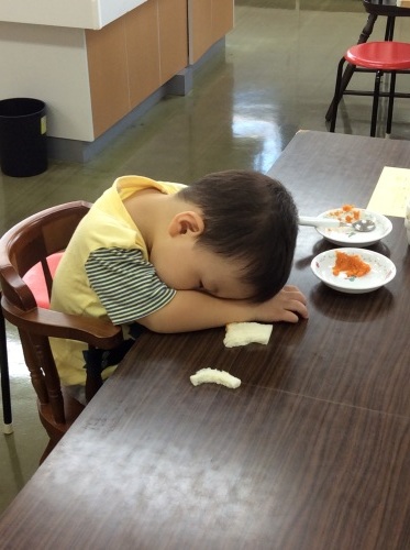 手足口病と1歳8カ月検診_c0362580_14210323.jpg