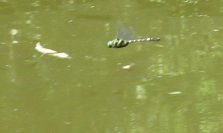 d0020180_8511011.jpg