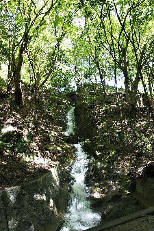 近畿地方　梅雨明けしたとみられる・・・・・・そうですね_e0024081_19202223.jpg