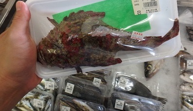 還元焼成とオコゼ_d0195183_3125535.jpg