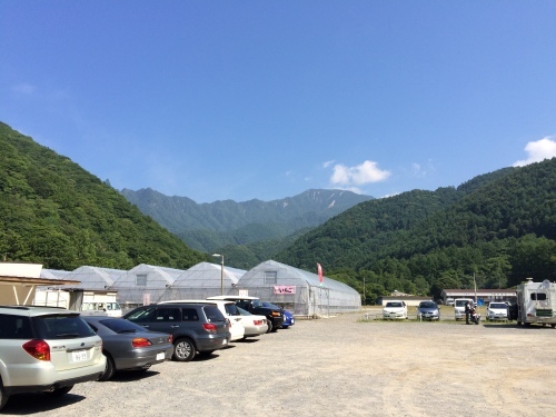c0347693_20363080.jpg