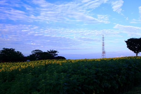 b0236595_1053833.jpg