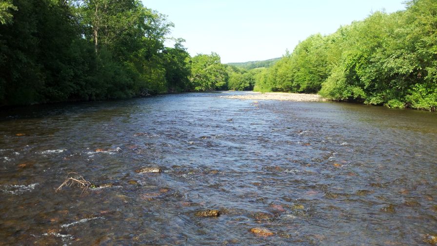 b0172805_2111698.jpg