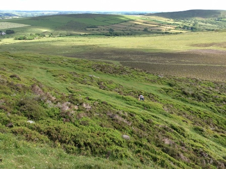 f0217014_20151.jpg