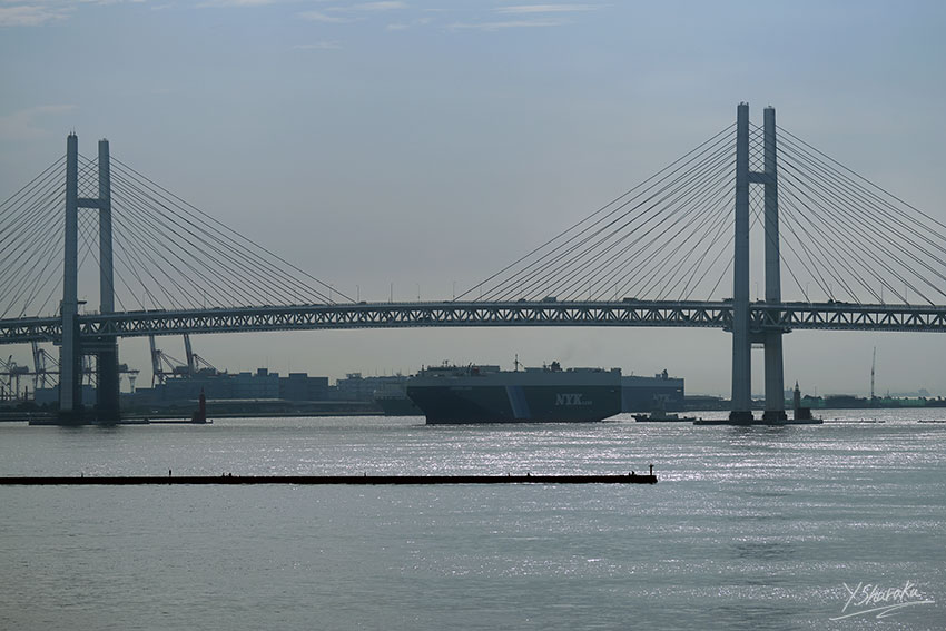 f0344614_7333723.jpg