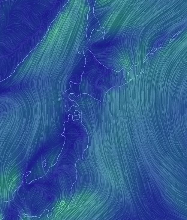 雨の合間を縫って_c0025115_19551893.jpg