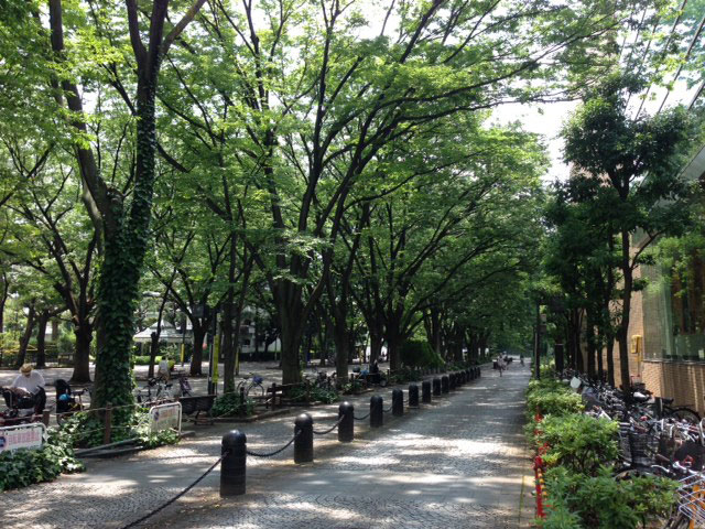 e0195115_13442523.jpg