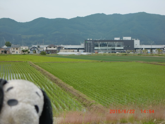 a0057021_21414668.jpg