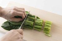 野菜保存の新常識!目からうろこの冷凍術/文:島本美由紀_a0083222_15282235.jpg