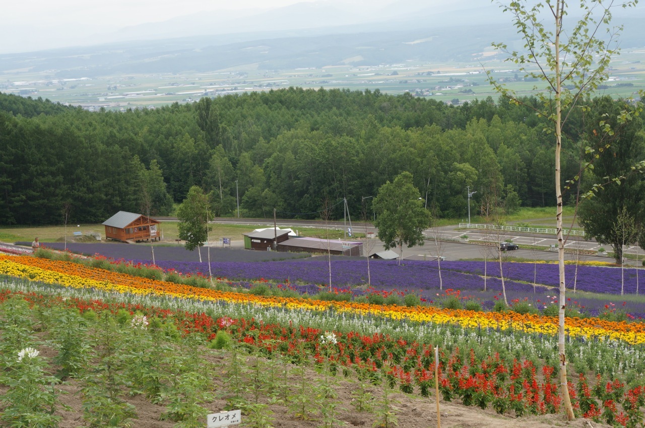 2015年　北海道旅行記　7月13日_f0234023_18465997.jpg