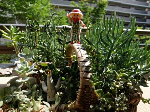 c0006827_95321.jpg