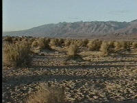 アメリカ国立公園めぐり第一弾:  さすが死の谷…Death Valley_d0113429_8124150.jpg